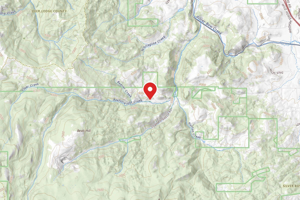 Beaverhead-Deerlodge Dispersed Campsite 83-10