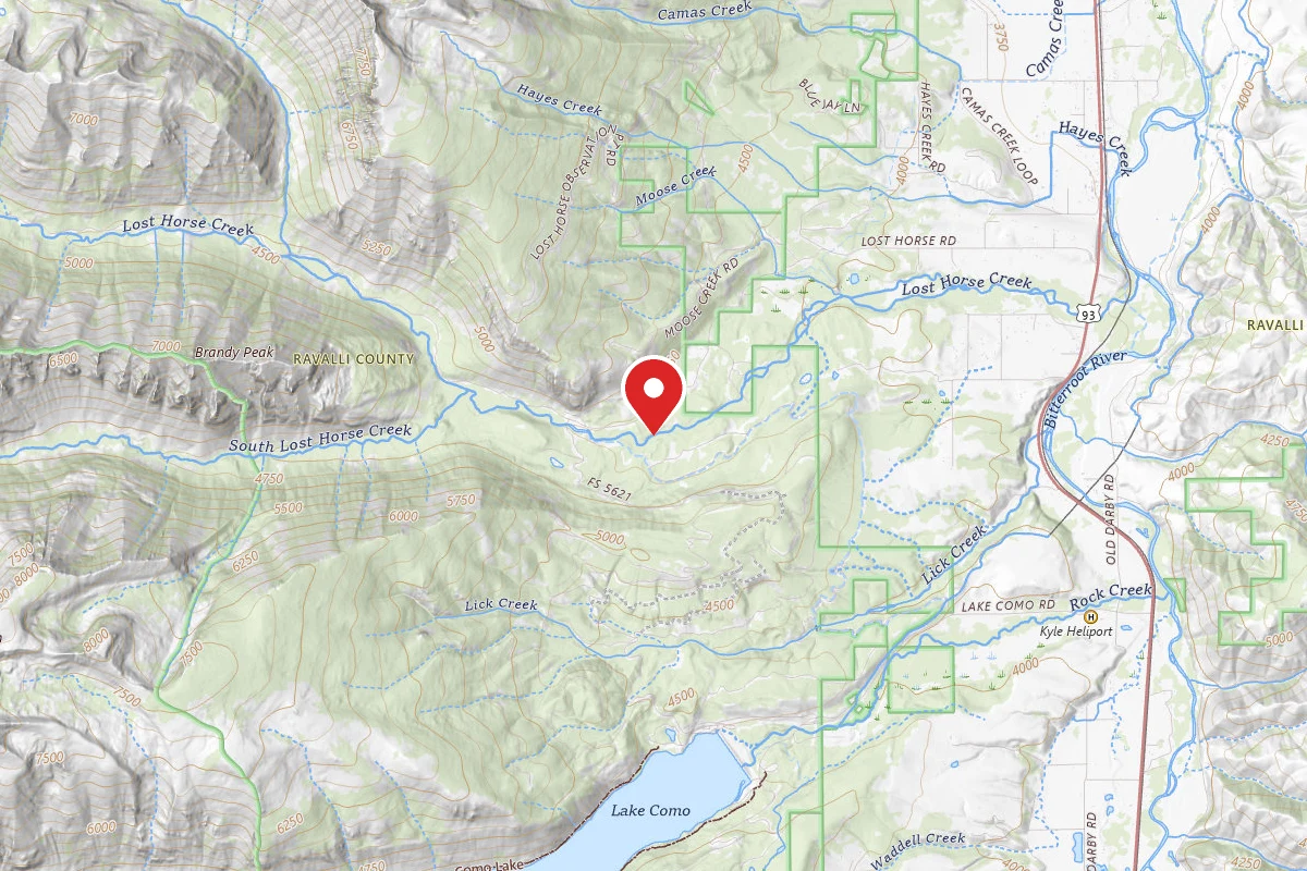 Bitterroot Dispersed Campsite LOST HORSE 015E
