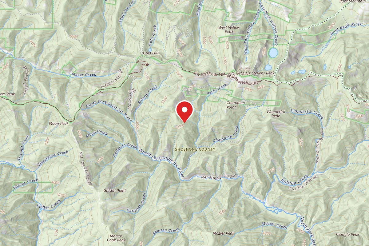 Bitterroot Dispersed Campsite DRD-COMO550RD-006