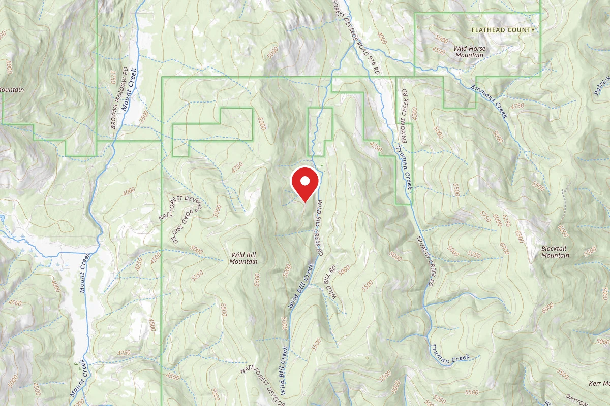 Flathead Dispersed Campsite 213-9662-2 WILD BILL AREA