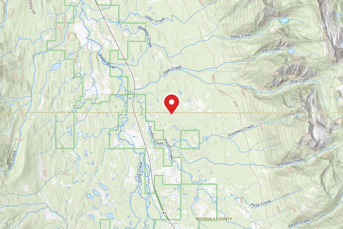 Flathead Dispersed Campsite 124-3