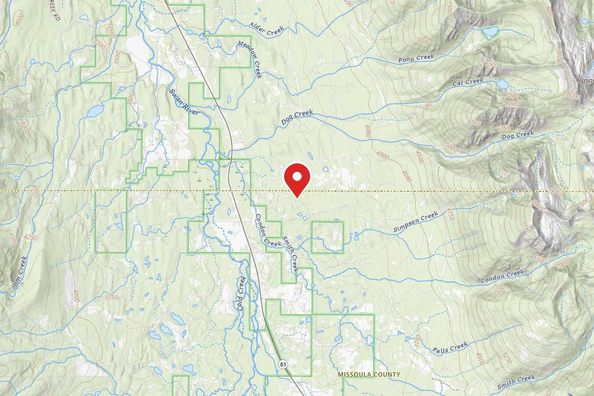 Flathead Dispersed Campsite 124-4