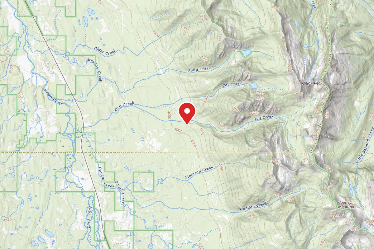 Flathead Dispersed Campsite 124-901-3