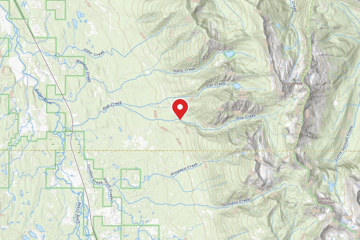 Flathead Dispersed Campsite 124-901-4B