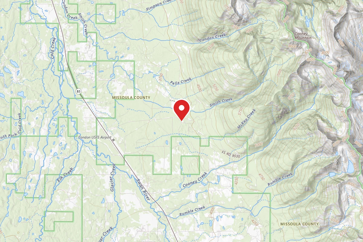 Flathead Dispersed Campsite 124 901 9550 -1A