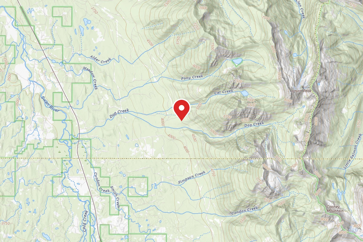 Flathead Dispersed Campsite 124-901-5