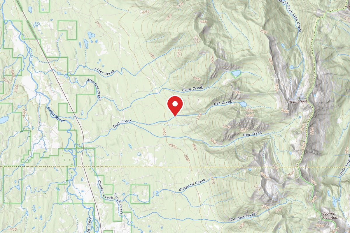 Flathead Dispersed Campsite 124-901-8
