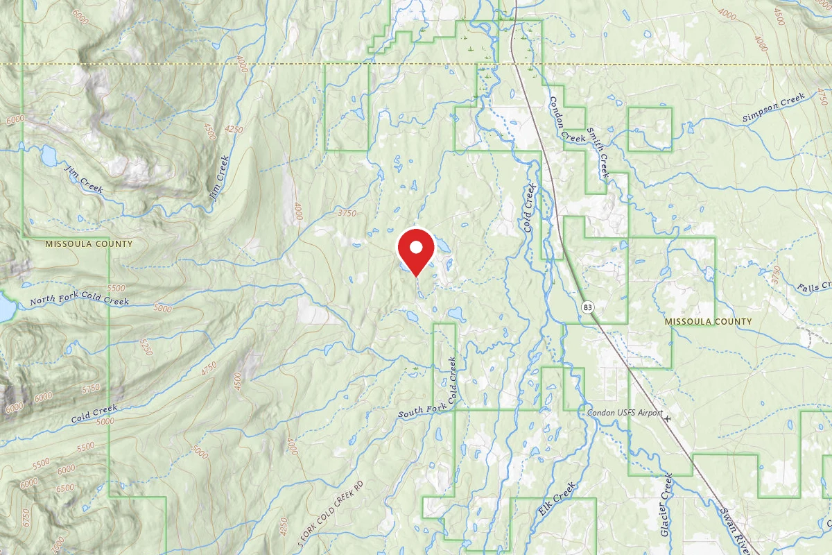 Flathead Dispersed Campsite 903-23 ELK AREA