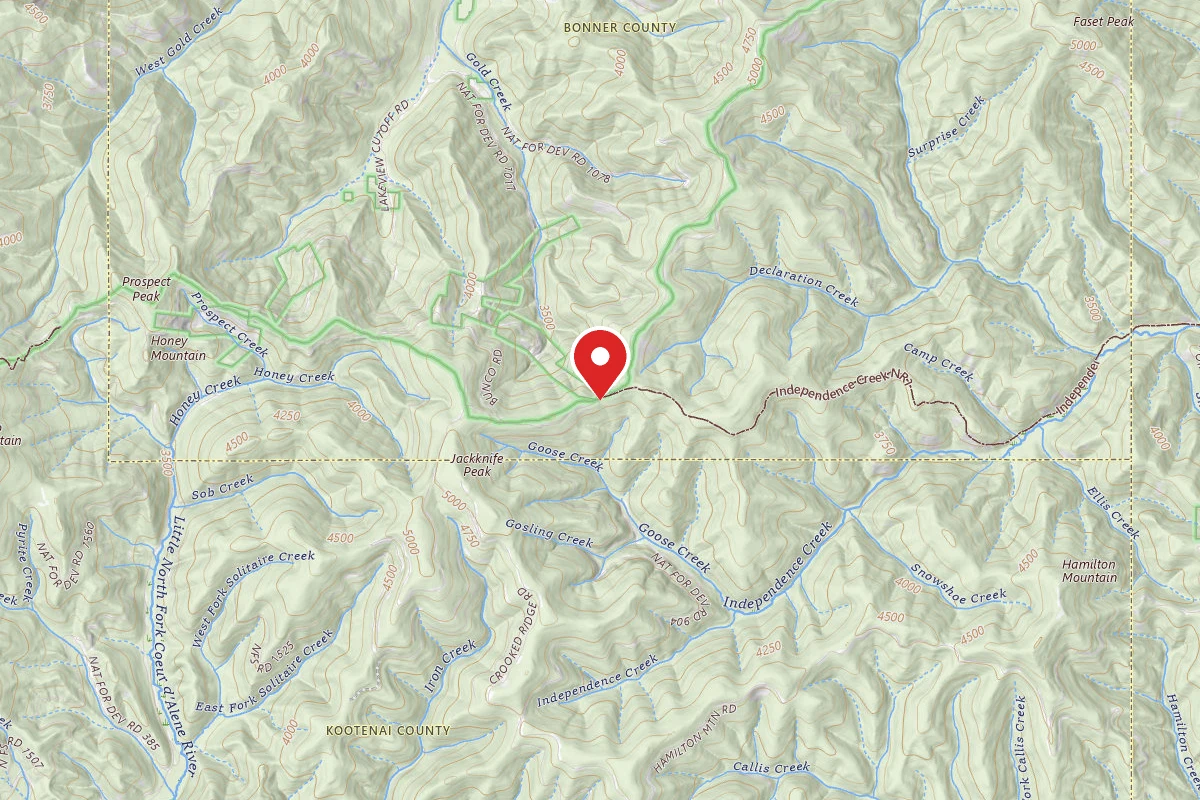 Idaho Panhandle Dispersed Campsite MM 11.8; FP DISP SITE #286
