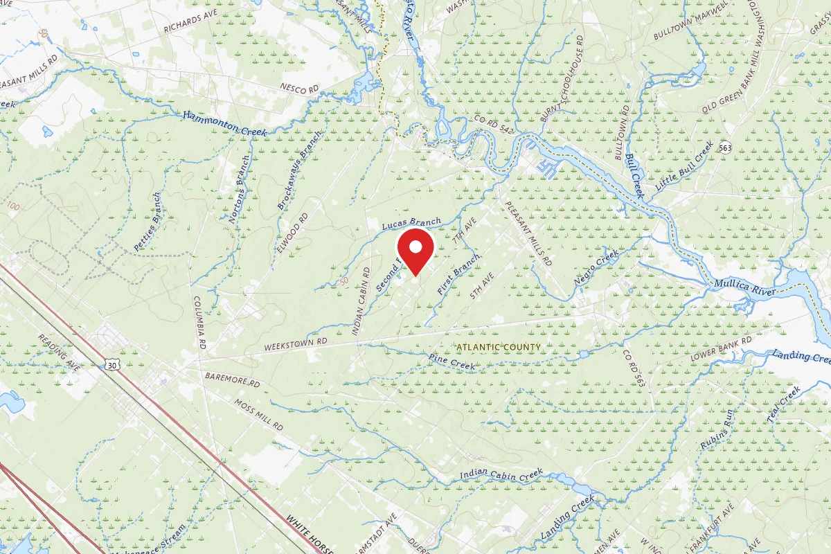 Wharton State Forest