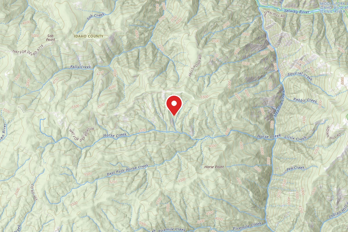 Nez Perce-Clearwater Dispersed Campsite 443RD-100