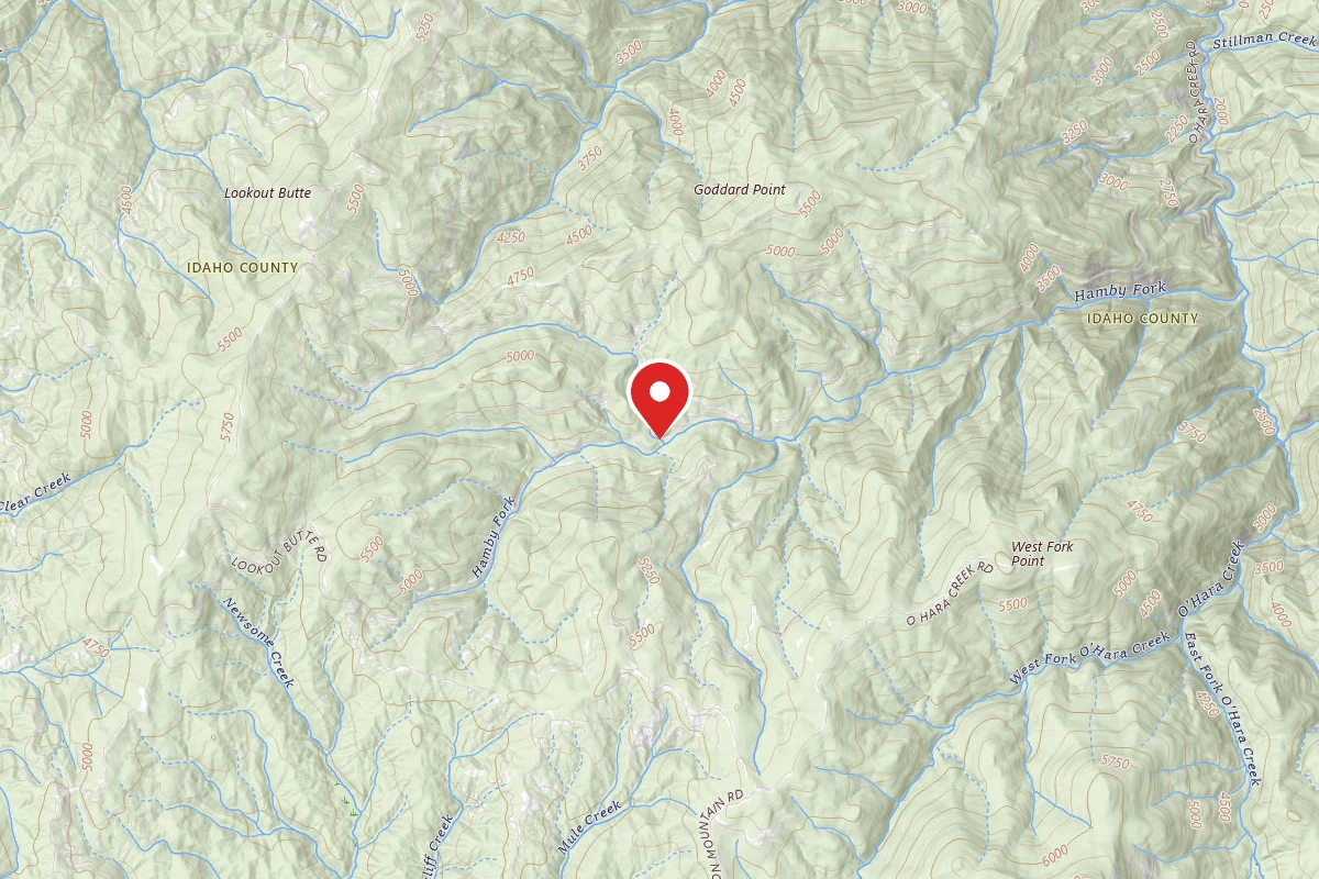 Nez Perce-Clearwater Dispersed Campsite 651RD-100