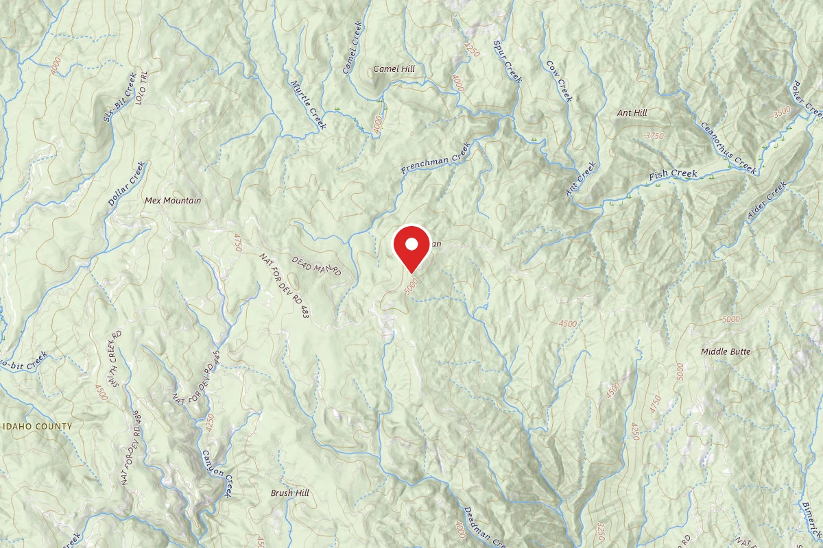 Nez Perce-Clearwater Dispersed Campsite 486RD-001
