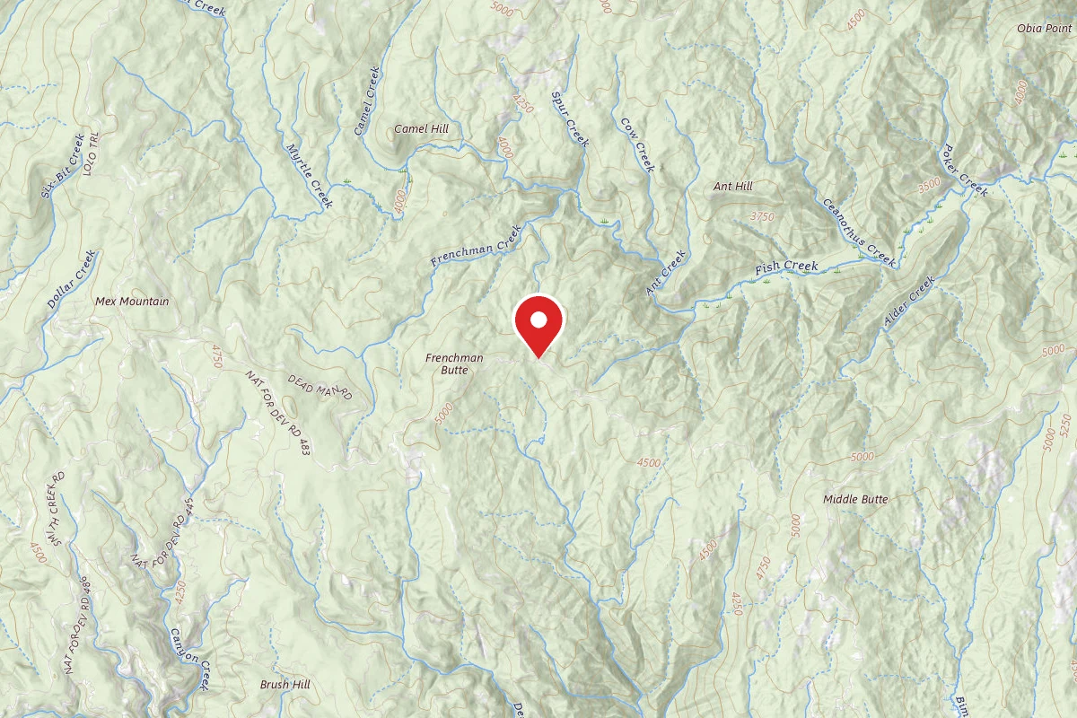 Nez Perce-Clearwater Dispersed Campsite 486RD-003