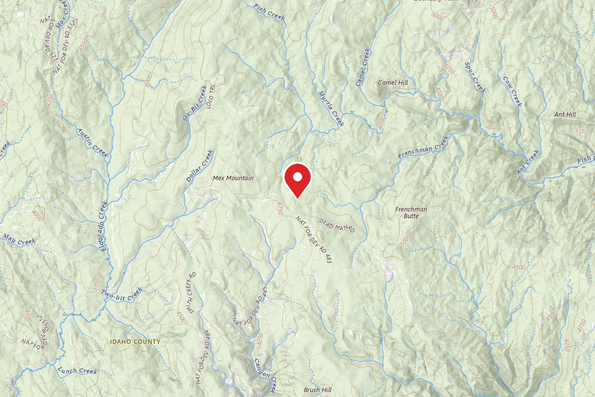 Nez Perce-Clearwater Dispersed Campsite 5547RD-101