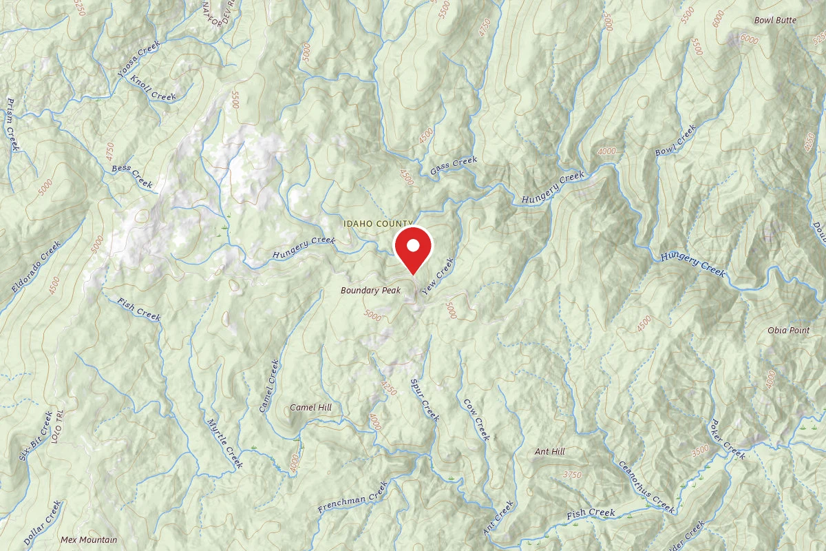 Nez Perce-Clearwater Dispersed Campsite 485-101