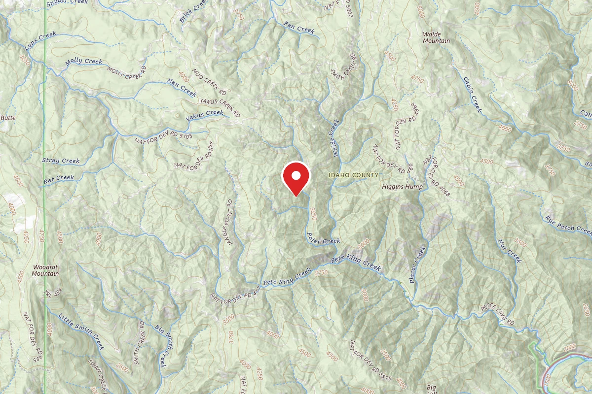 Nez Perce-Clearwater Dispersed Campsite 101RD-004