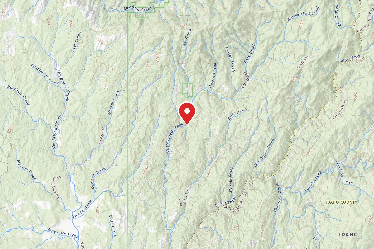 Nez Perce-Clearwater Dispersed Campsite 541RD-1000