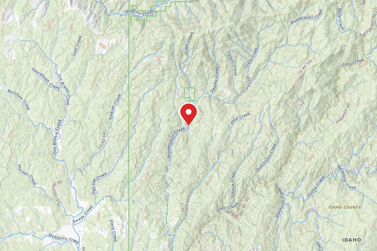 Nez Perce-Clearwater Dispersed Campsite 541RD-1001