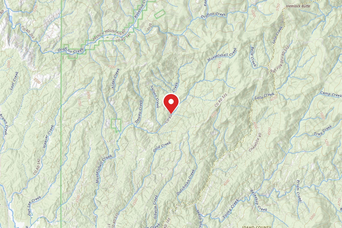 Nez Perce-Clearwater Dispersed Campsite 541RD-1003