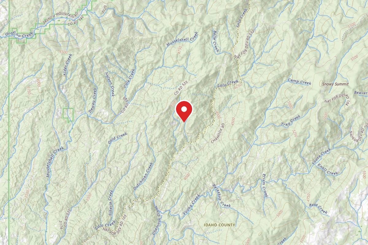 Nez Perce-Clearwater Dispersed Campsite 5120RD-1004