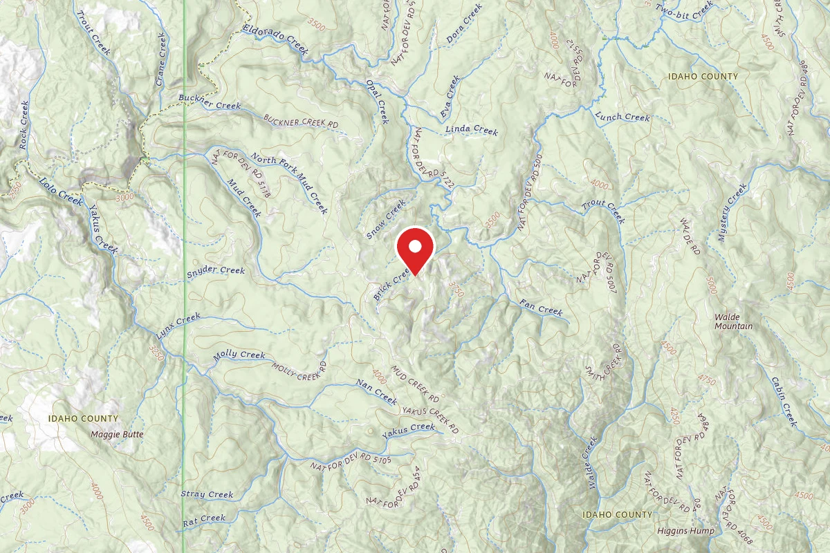 Nez Perce-Clearwater Dispersed Campsite 519RD-300