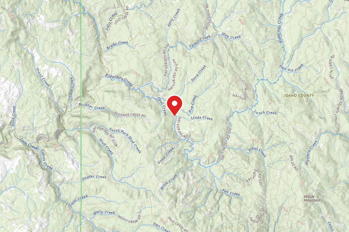 Nez Perce-Clearwater Dispersed Campsite 5119RD-400