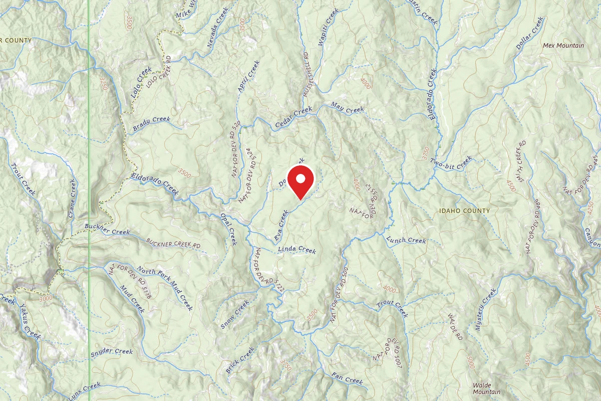 Nez Perce-Clearwater Dispersed Campsite 5122RD-401