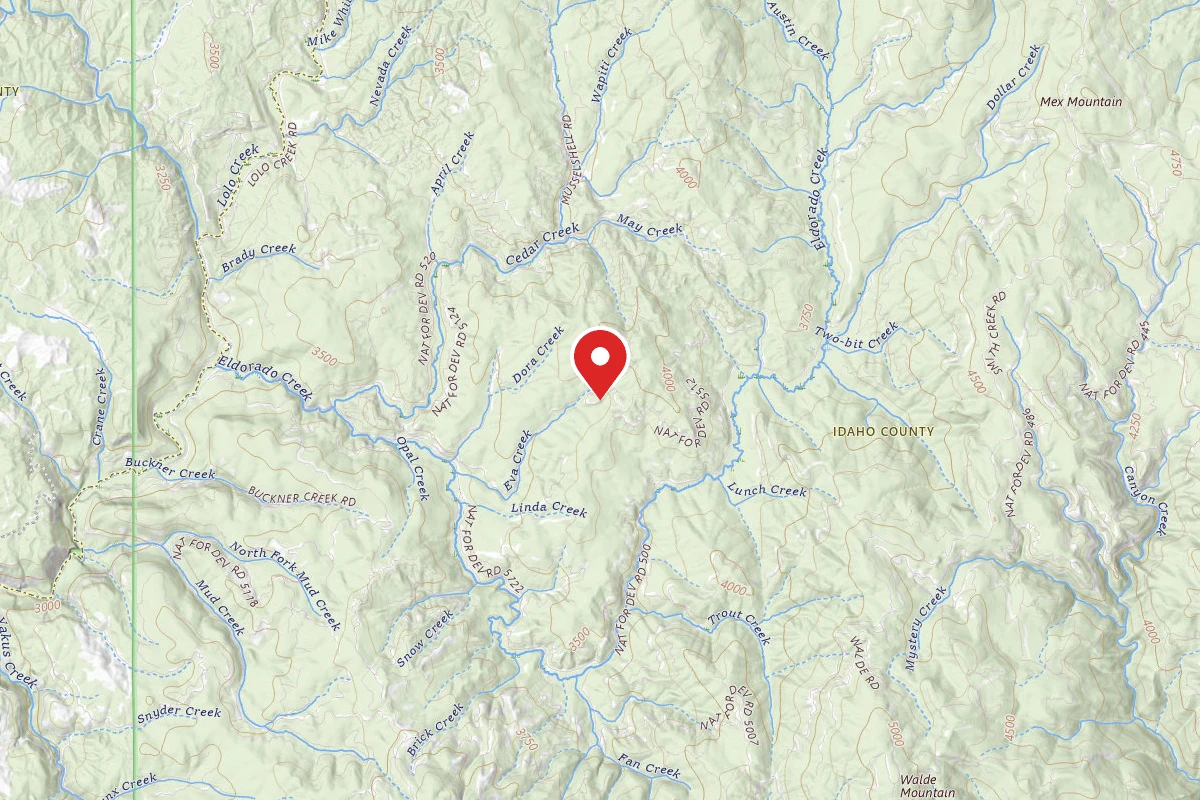 Nez Perce-Clearwater Dispersed Campsite 5112RD-402