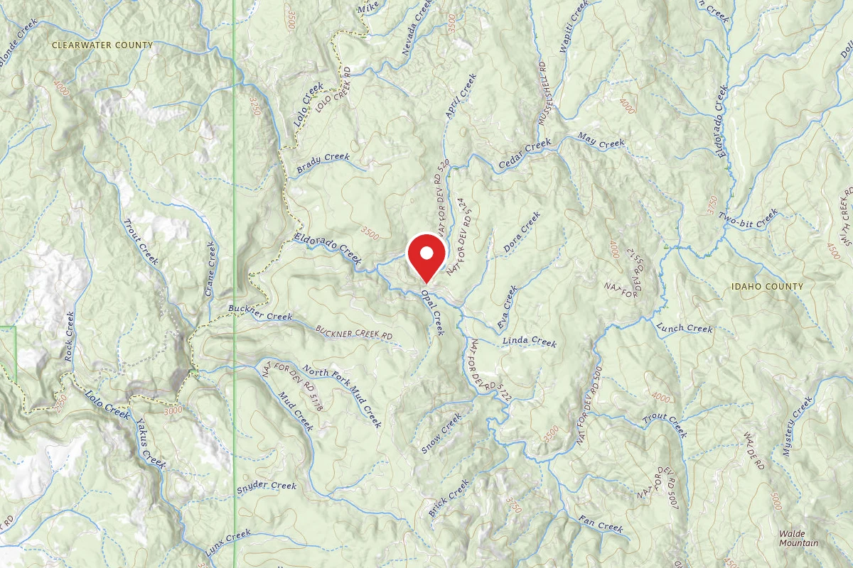 Nez Perce-Clearwater Dispersed Campsite 5120RD-403