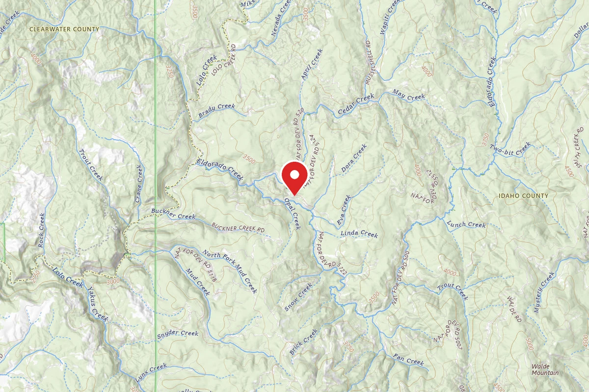 Nez Perce-Clearwater Dispersed Campsite 5120RD-404