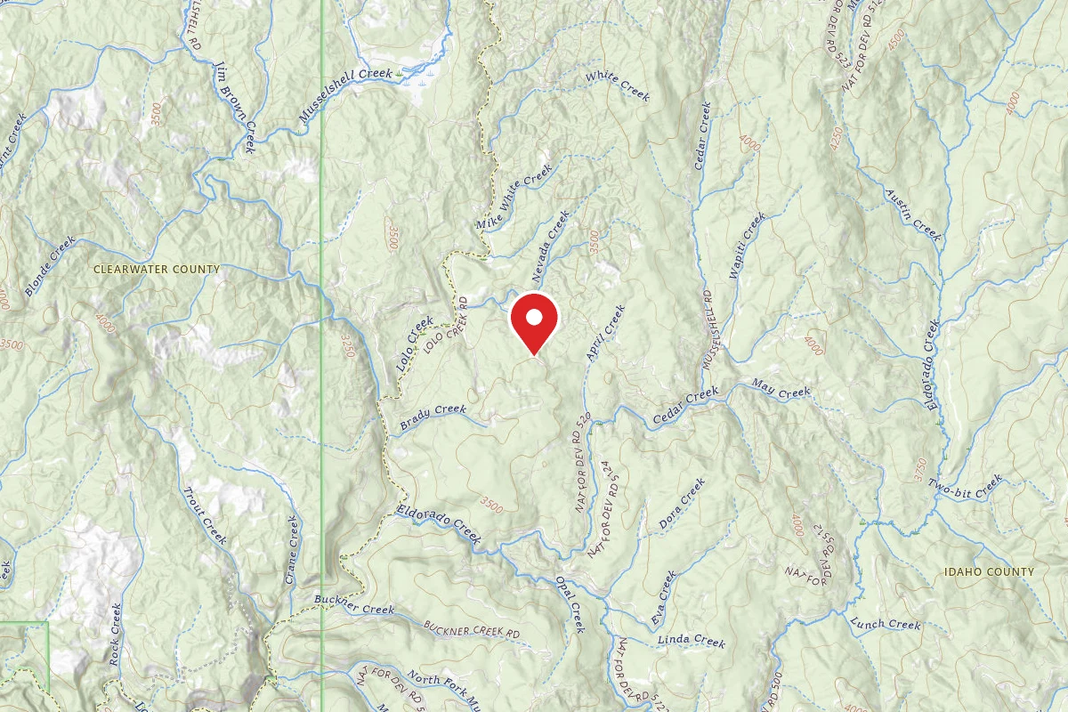 Nez Perce-Clearwater Dispersed Campsite 5132A-405