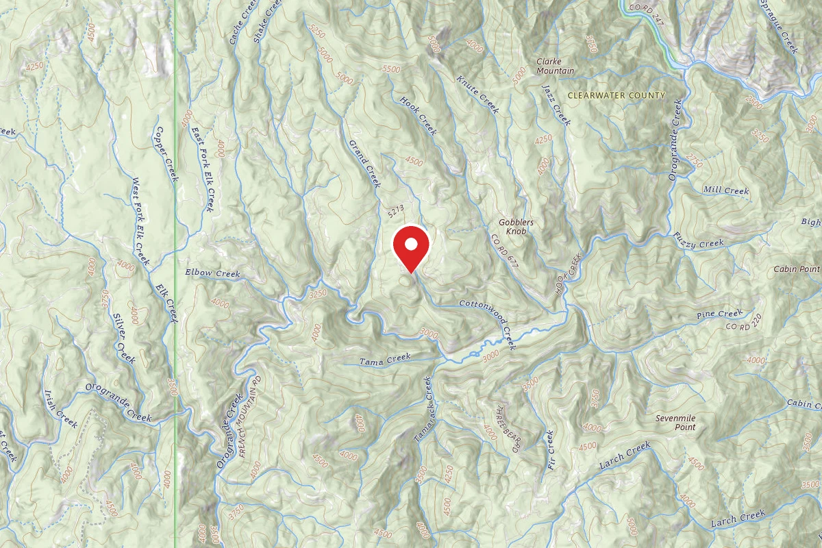 Nez Perce-Clearwater Dispersed Campsite 250RD-200