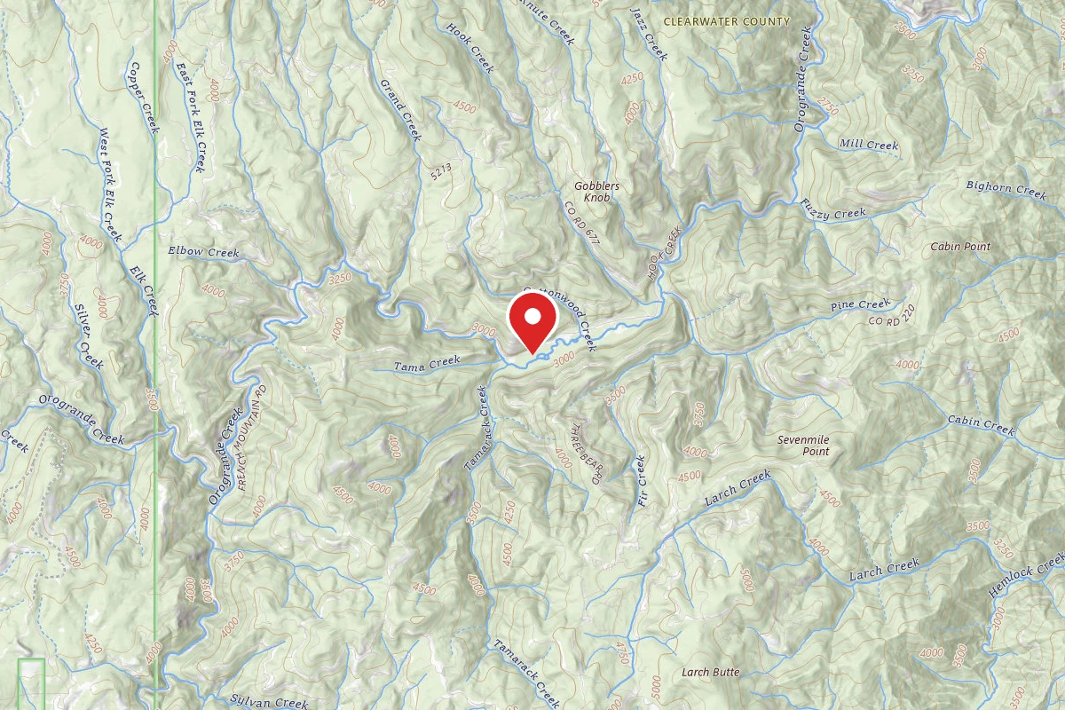 Nez Perce-Clearwater Dispersed Campsite 250RD-201