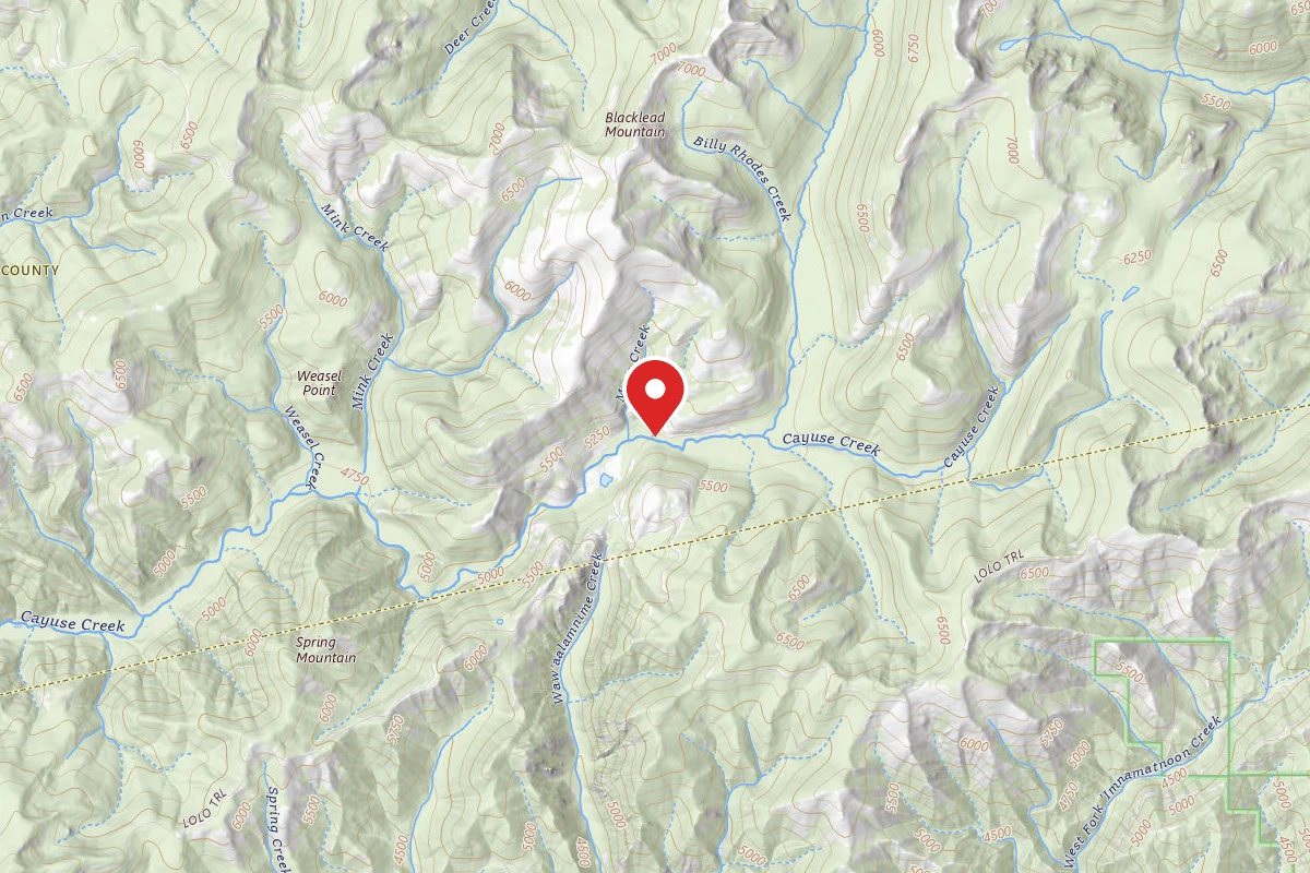 Nez Perce-Clearwater Dispersed Campsite 581RD-100