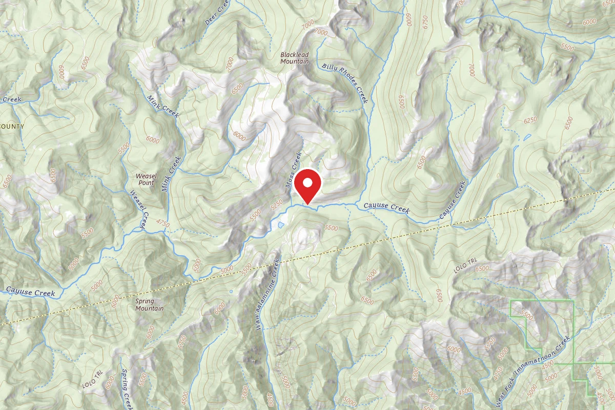 Nez Perce-Clearwater Dispersed Campsite 581RD-102