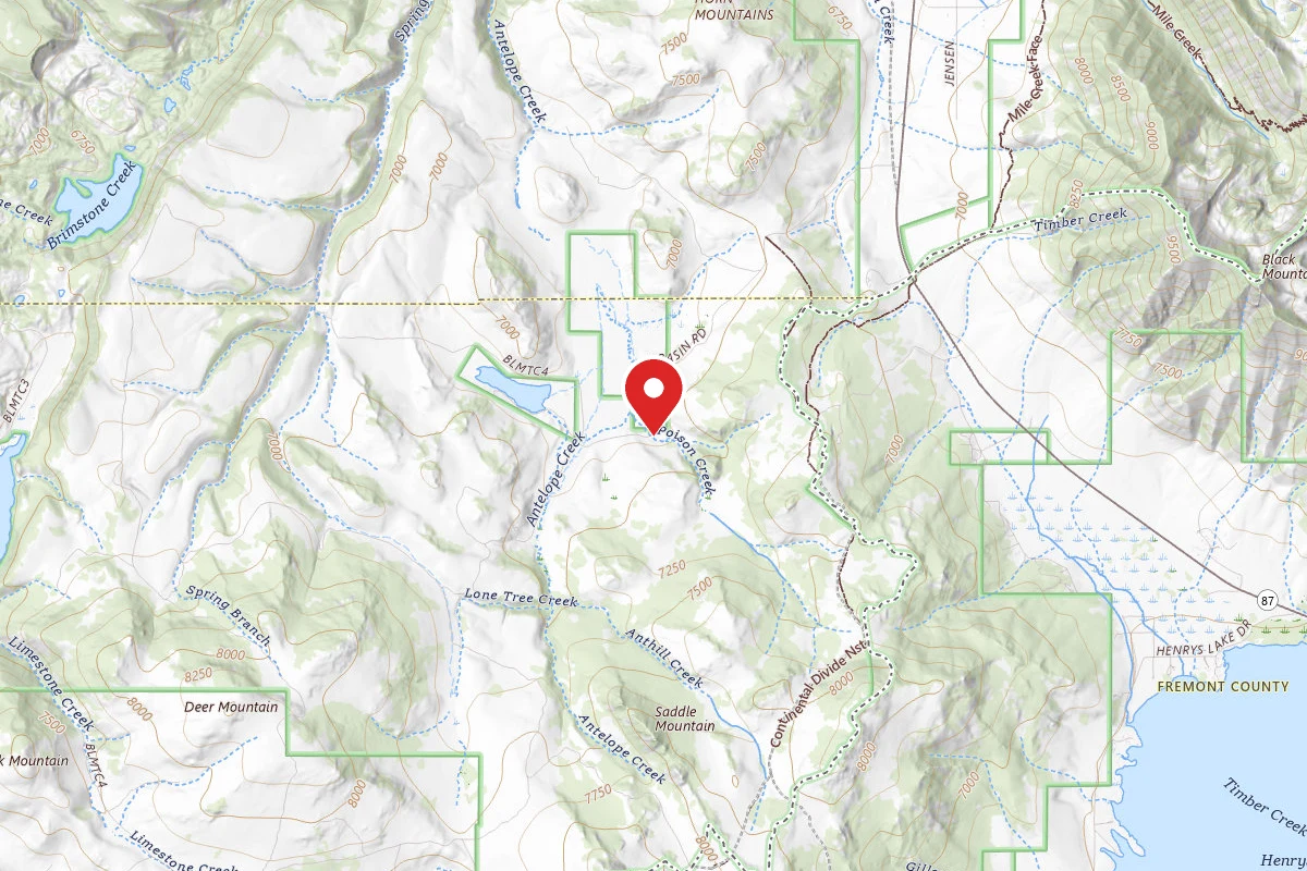 Beaverhead-Deerlodge Dispersed Campsite FS230-001