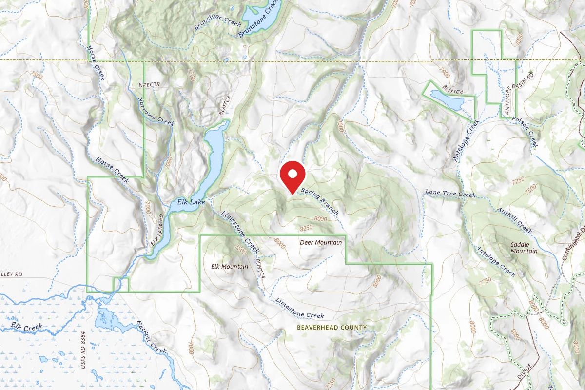 Beaverhead-Deerlodge Dispersed Campsite FS8384-01
