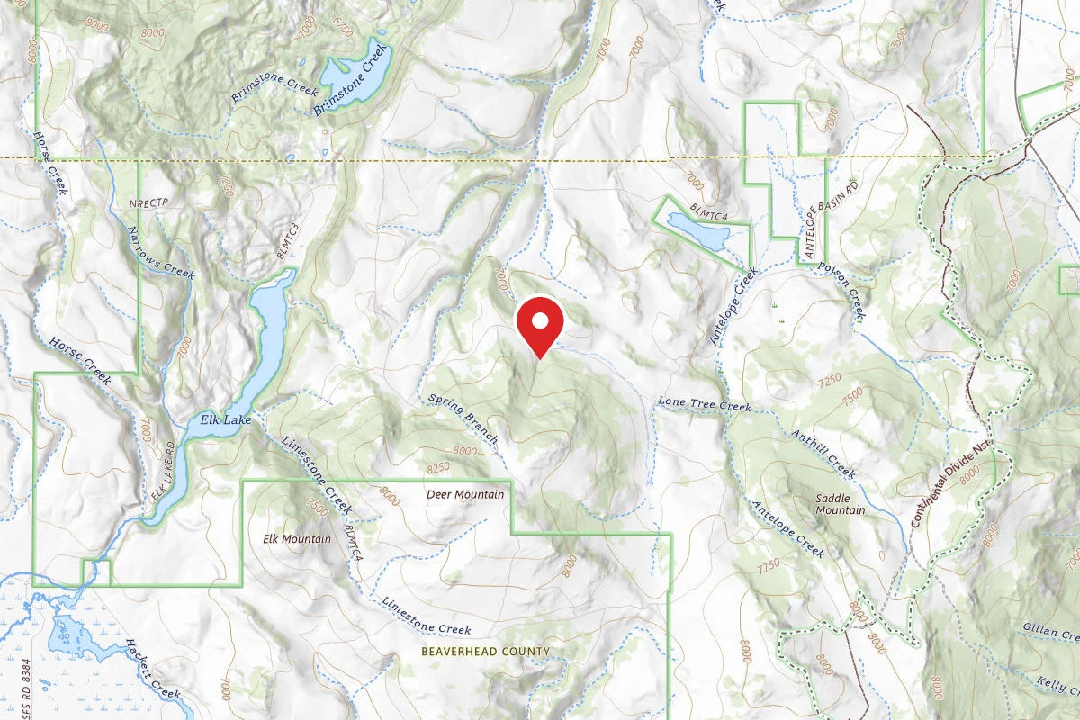 Beaverhead-Deerlodge Dispersed Campsite FS3931-02