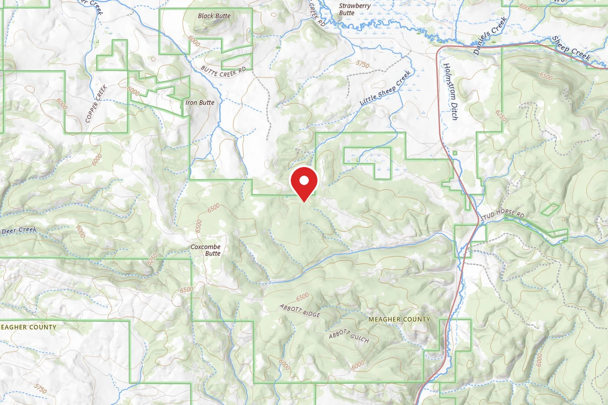 Helena-Lewis and Clark Dispersed Campsite LITTLE SHEEP CREEK RD 6478-1