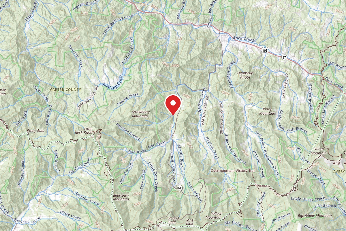 Roan Mountain State Park