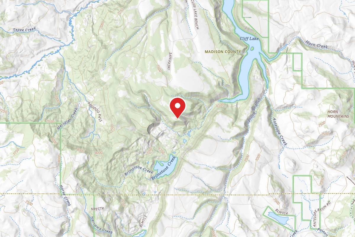 Beaverhead-Deerlodge Dispersed Campsite FS8378-01