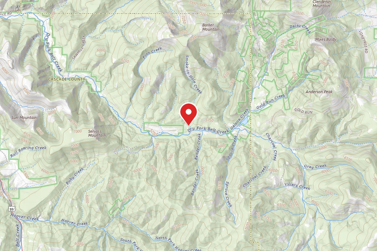 Helena-Lewis and Clark Dispersed Campsite DRY FORK RD 120-113