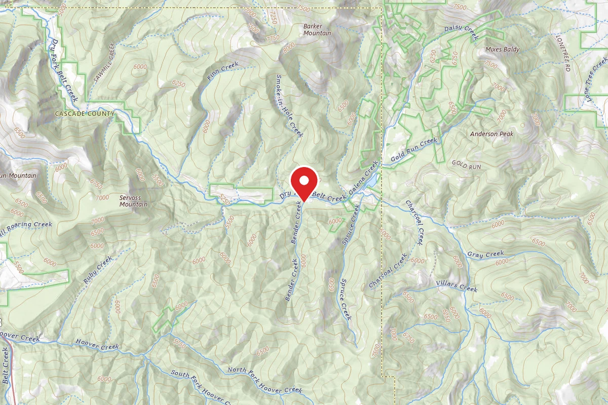 Helena-Lewis and Clark Dispersed Campsite DRY FORK RD 120-114
