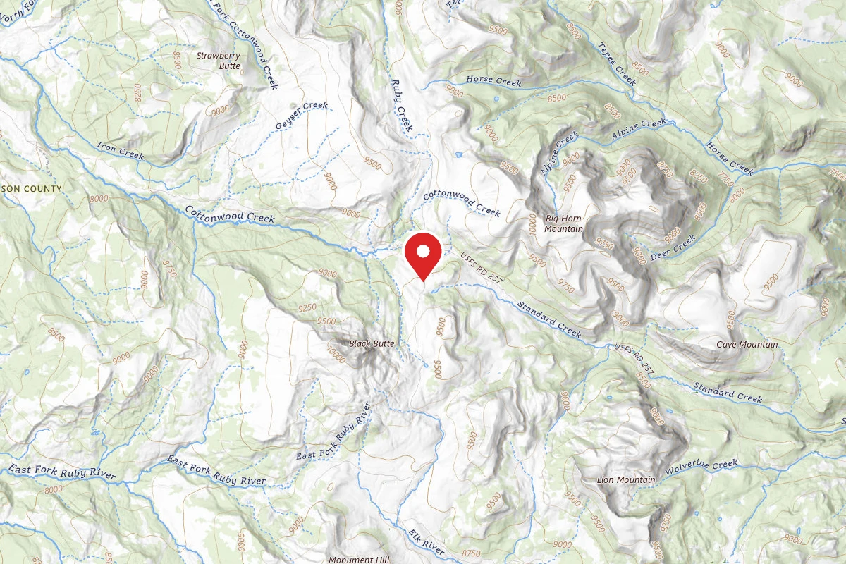 Beaverhead-Deerlodge Dispersed Campsite FS290-04