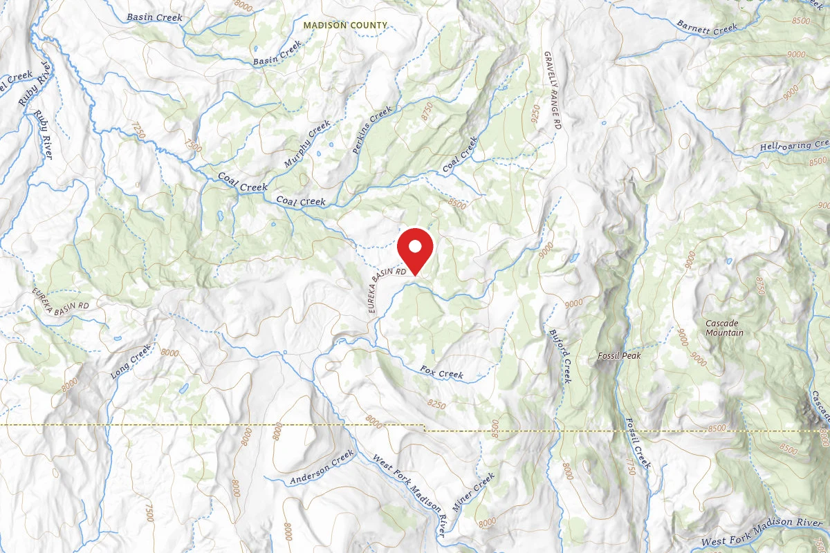Beaverhead-Deerlodge Dispersed Campsite FS290-06