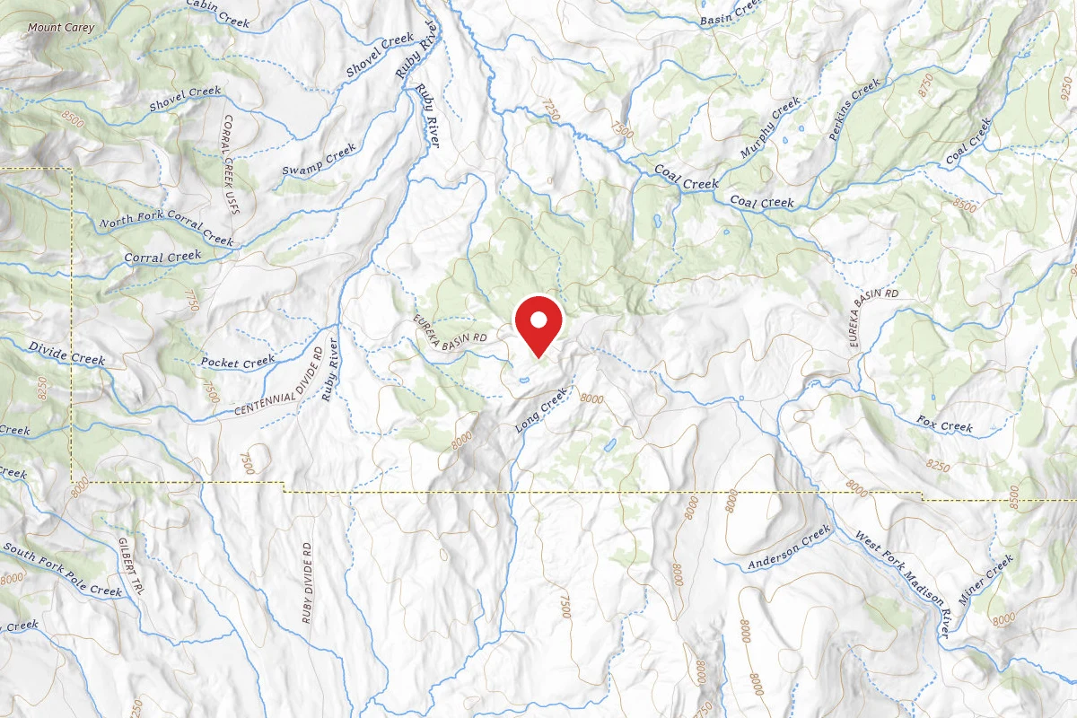 Beaverhead-Deerlodge Dispersed Campsite FS347-03