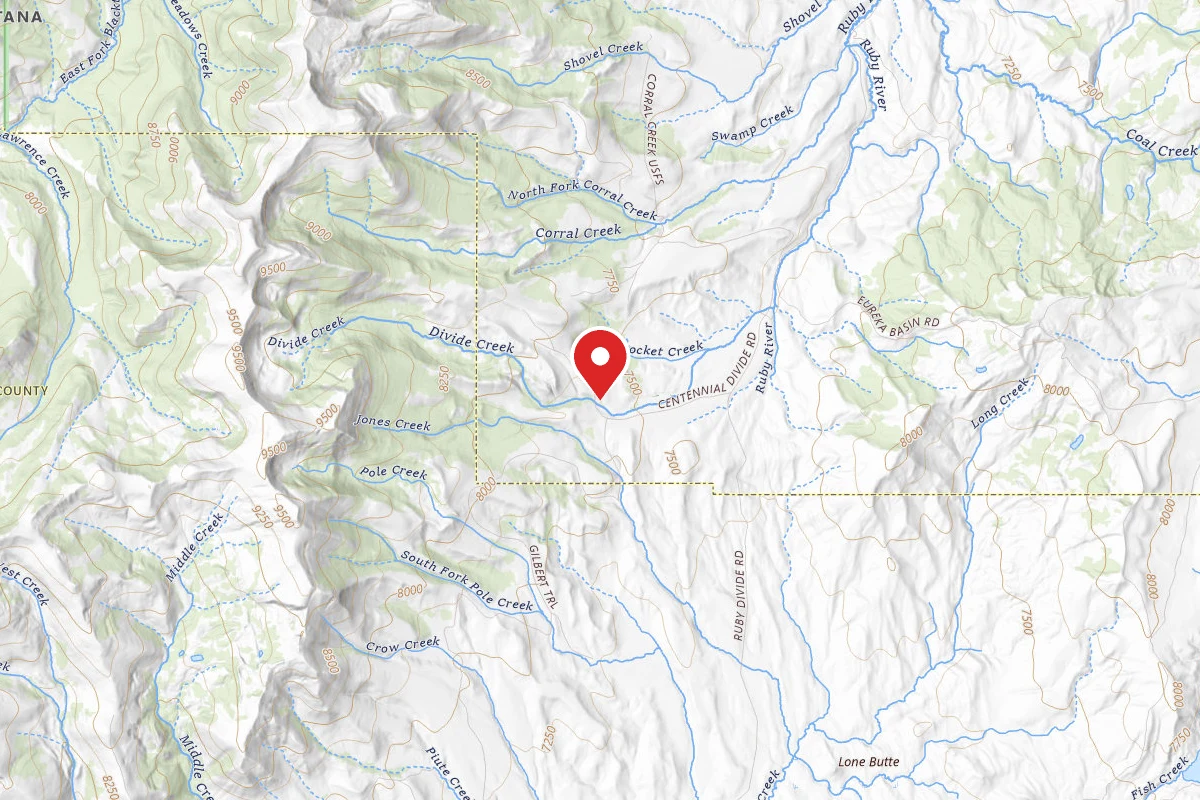 Beaverhead-Deerlodge Dispersed Campsite FS9660-01