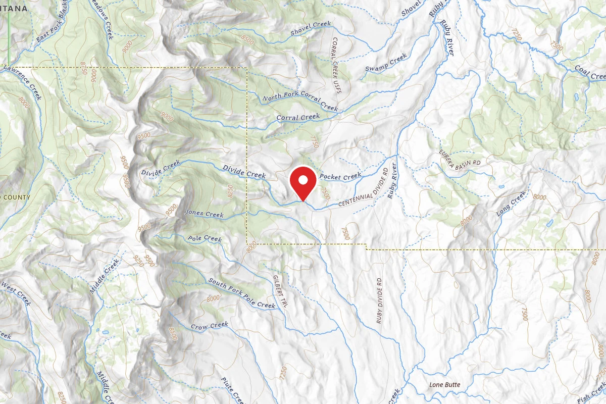 Beaverhead-Deerlodge Dispersed Campsite FS9660-02