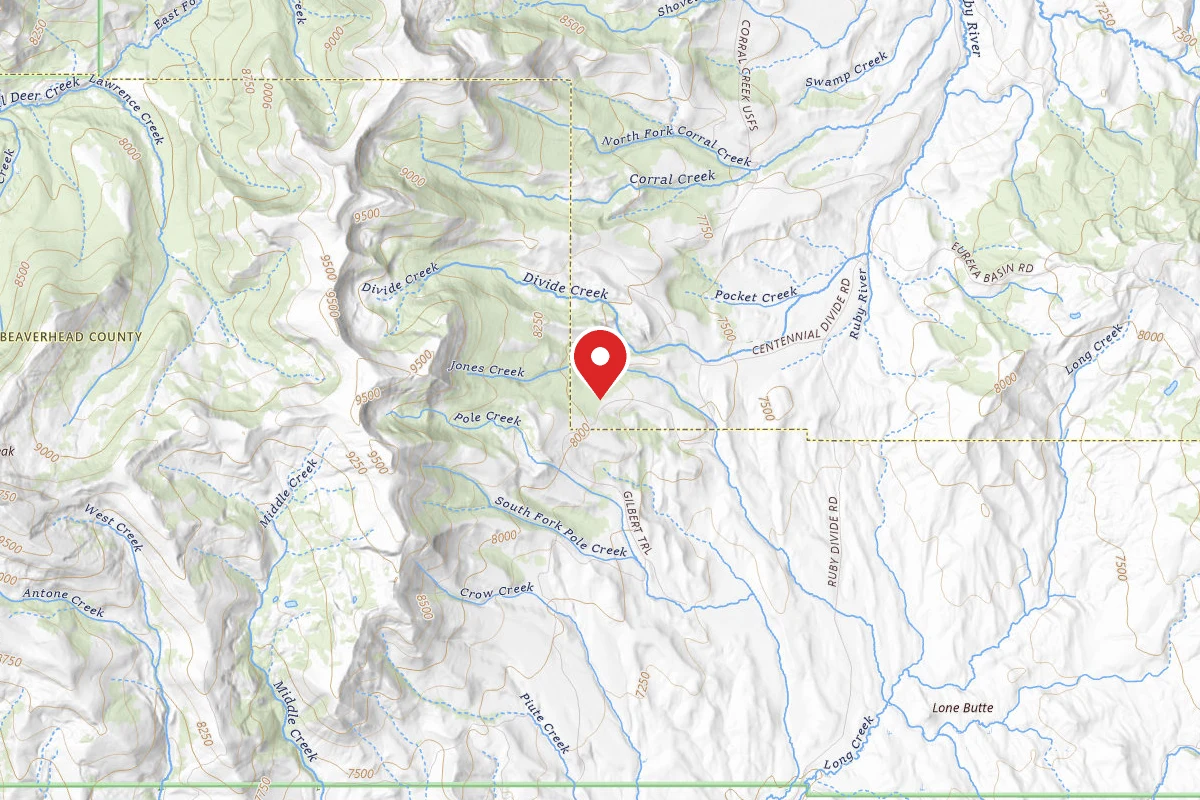 Beaverhead-Deerlodge Dispersed Campsite FS1215-01